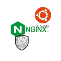 CertDog_NginxUbuntu_V1