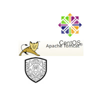 CertDog_Tomcat9Centos_V1