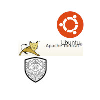 CertDog_Tomcat9Ubuntu_V1